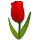 How emoji tulip displayed on LG