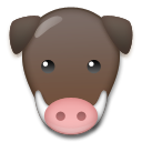 How emoji boar displayed on LG