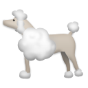 How emoji poodle displayed on LG