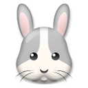 How emoji rabbit face displayed on LG