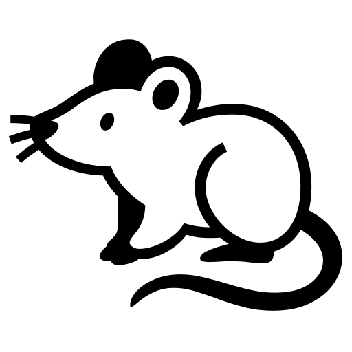 How emoji rat displayed on Noto