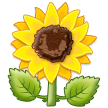 How emoji sunflower displayed on Samsung