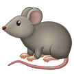 How emoji rat displayed on Samsung