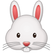 How emoji rabbit face displayed on Samsung