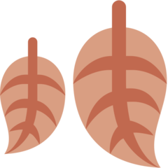 How emoji fallen leaf displayed on Twitter