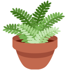 How emoji potted plant displayed on Twitter