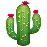 How emoji cactus displayed on WhatsApp