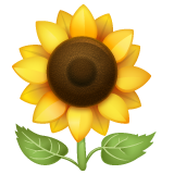 How emoji sunflower displayed on WhatsApp