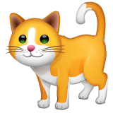 How emoji cat displayed on WhatsApp