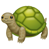 How emoji turtle displayed on WhatsApp