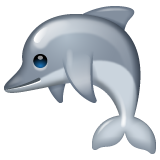 How emoji dolphin displayed on WhatsApp