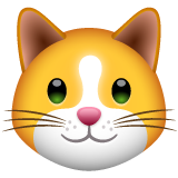 How emoji cat face displayed on WhatsApp