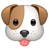 How emoji dog face displayed on WhatsApp