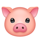 How emoji pig face displayed on WhatsApp