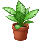 How emoji potted plant displayed on WhatsApp